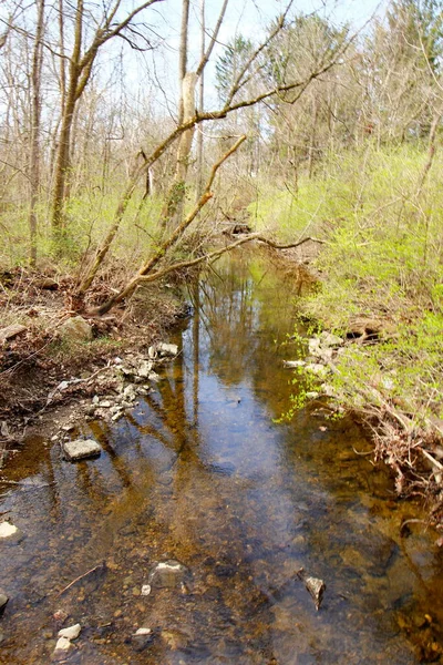 Inniswood Metro Gardens Westerville Ohio —  Fotos de Stock