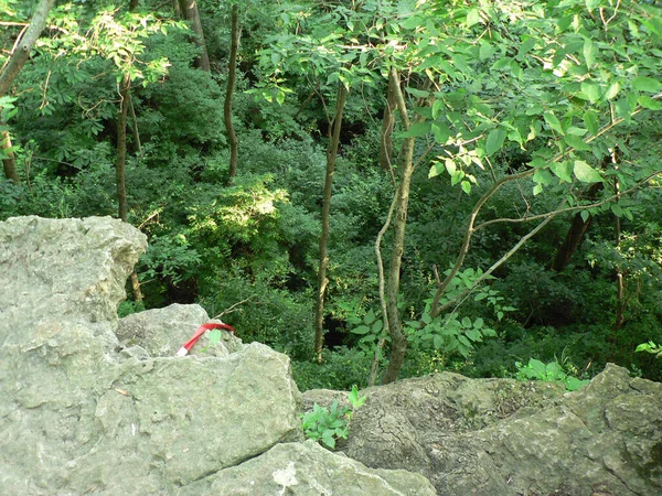 オハイオ州ジョン ブライアン州立公園 — ストック写真