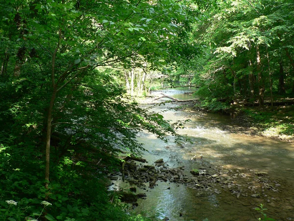 John Bryan State Park Ohio — стокове фото