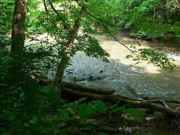 John Bryan State Park Ohio — Foto Stock