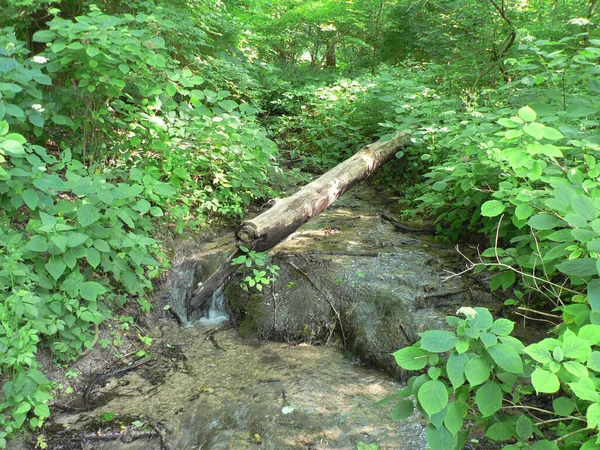 John Bryan State Park Ohio — Fotografia de Stock