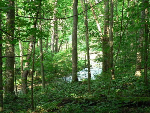 John Bryan State Park Ohio — Fotografia de Stock