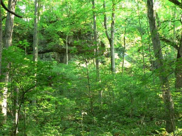 Parque Estatal John Bryan Ohio — Foto de Stock