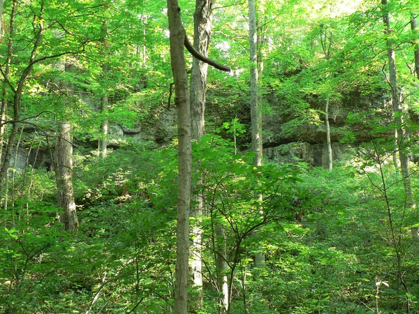 John Bryan State Park Ohio — Fotografia de Stock