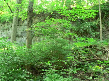 John Bryan Eyalet Parkı, Ohio