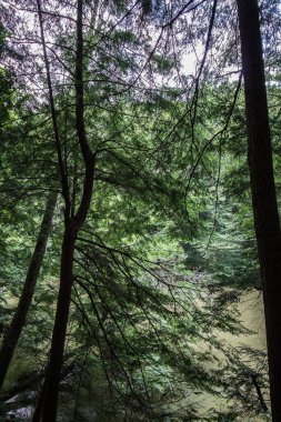 Mohican Eyalet Parkı, Ohio