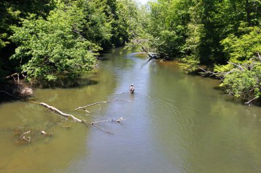 Mohican Eyalet Parkı, Ohio
