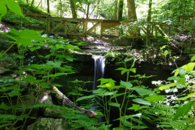 Mohican Eyalet Parkı, Ohio