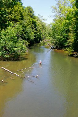 Mohican Eyalet Parkı, Ohio