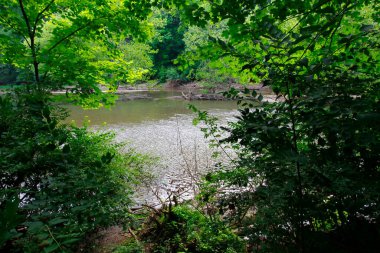 Mohican Eyalet Parkı, Ohio