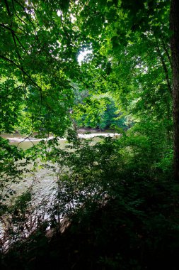 Mohican Eyalet Parkı, Ohio