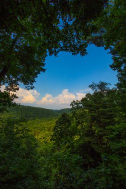 Mohican Eyalet Parkı, Ohio