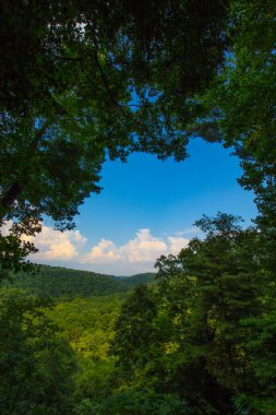 Mohican Eyalet Parkı, Ohio