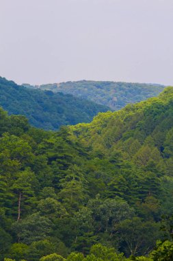 Mohican Eyalet Parkı, Ohio