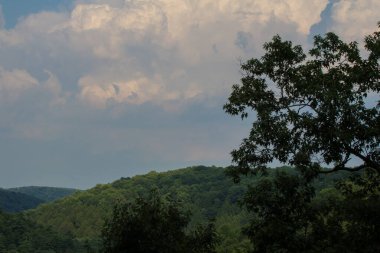 Mohican Eyalet Parkı, Ohio