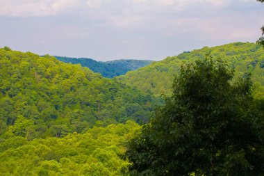 Mohican Eyalet Parkı, Ohio