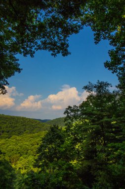 Mohican Eyalet Parkı, Ohio
