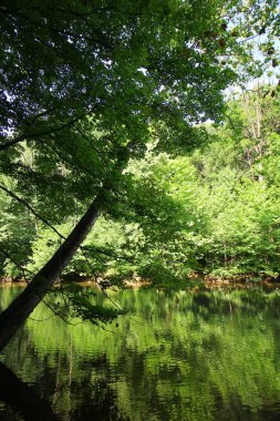 Mohican Eyalet Parkı, Ohio