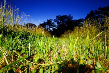 Ohio, Kırsal Bölgedeki Gece Sahneleri