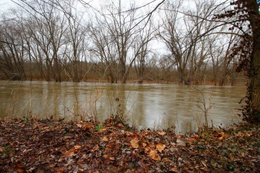 Olentangy Trail, Columbus, Ohio 'dan Görüntüler