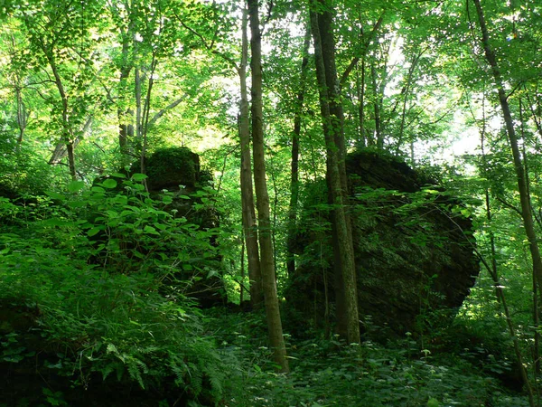 Parque Estatal John Bryan Ohio — Foto de Stock