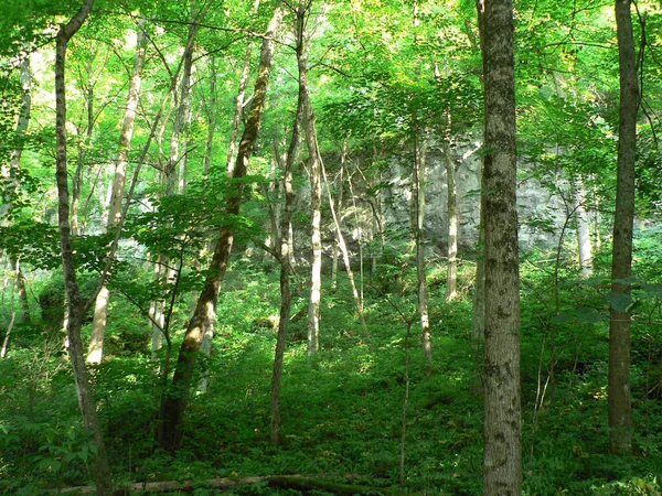 John Bryan State Park Ohio — Stockfoto