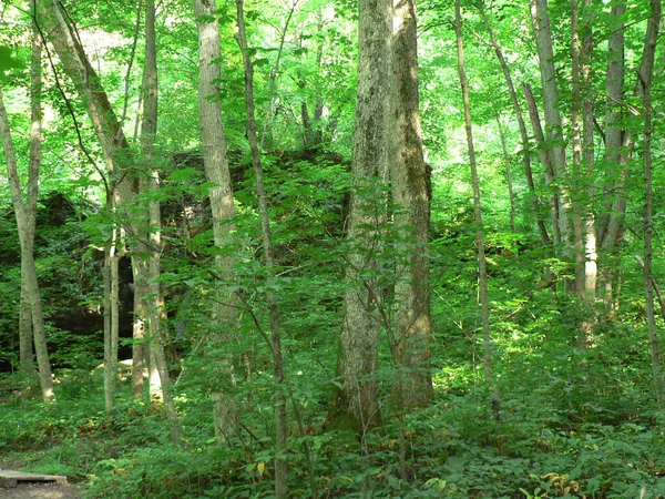 John Bryan State Park Ohio — стокове фото