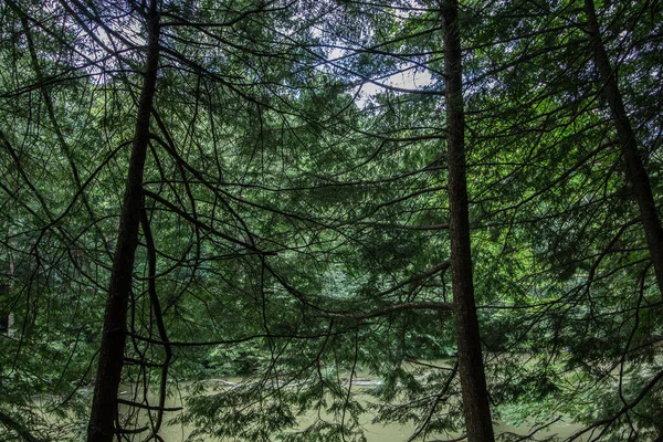 Výhled Mohican State Park Ohio — Stock fotografie