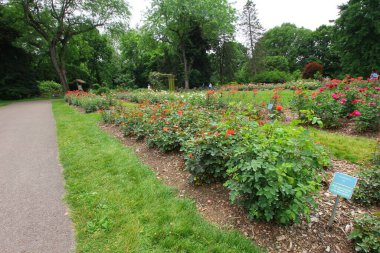 Güller Parkı, Columbus, Ohio