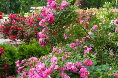 Güller Parkı, Columbus, Ohio