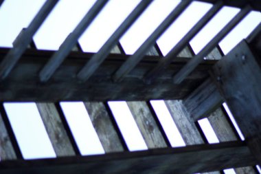 Güller Parkı, Columbus, Ohio