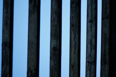 Güller Parkı, Columbus, Ohio