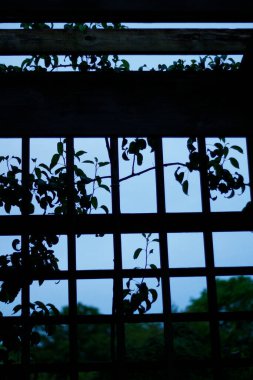 Güller Parkı, Columbus, Ohio