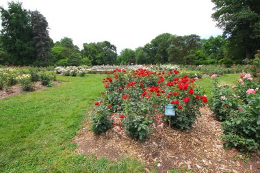 Güller Parkı, Columbus, Ohio