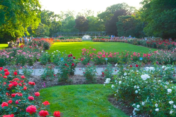 Güller Parkı, Columbus, Ohio