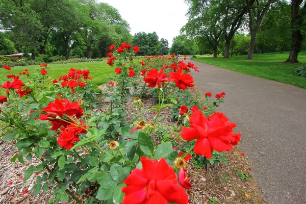 Parc Des Roses Columbus Ohio — Photo