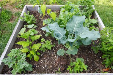 Bir bahçenin çeşitli manzaraları