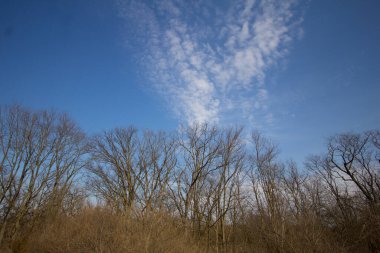 Prairie Oaks Metro Parkı, Ohio