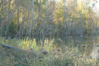 Prairie Oaks Metro Parkı, Ohio