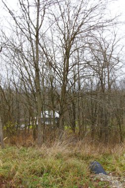 Kızıl Tepe, Dover, Ohio