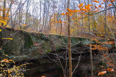 Rockbridge Eyalet Doğa Koruma Alanı, Ohio