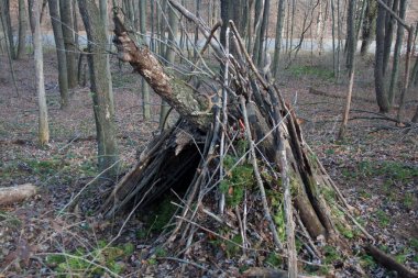 Ohio 'nun kırsal kesimlerindeki sahneler