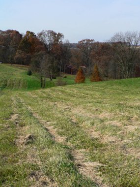 Ohio 'nun kırsal kesimlerindeki sahneler