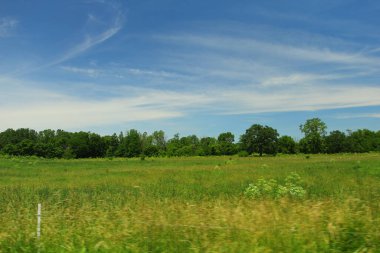 Ohio 'nun kırsal kesimlerindeki sahneler