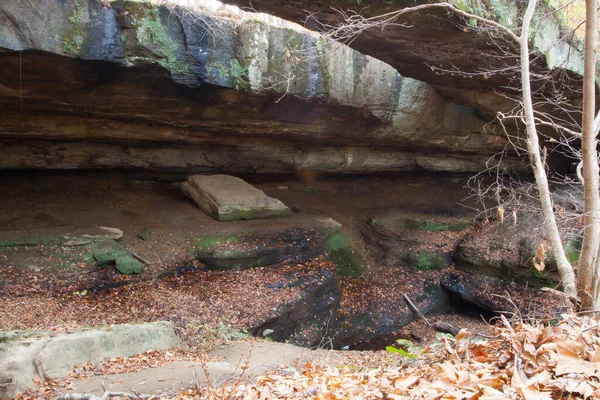 Naturreservat Vid Rockbridge State Ohio — Stockfoto