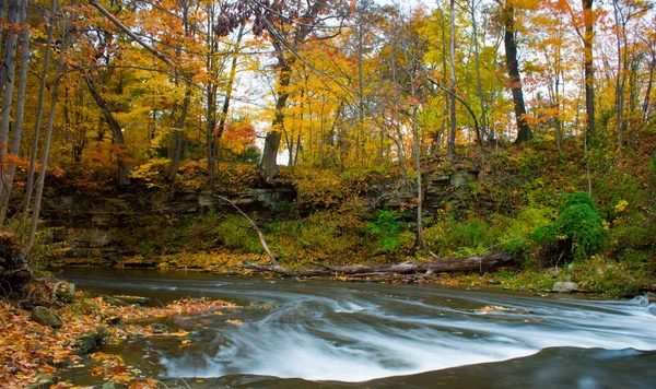 Rocky Fork Creek Ősszel Gahanna Ohio — Stock Fotó