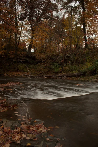 Rocky Fork Creek Φθινόπωρο Gahanna Οχάιο — Φωτογραφία Αρχείου