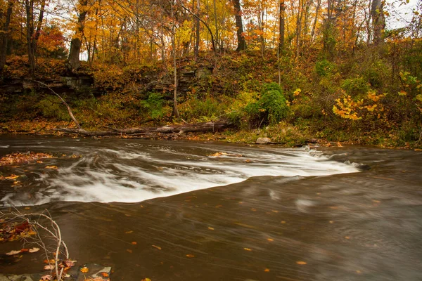 Rocky Fork Creek Sonbaharda Gahanna Ohio — Stok fotoğraf