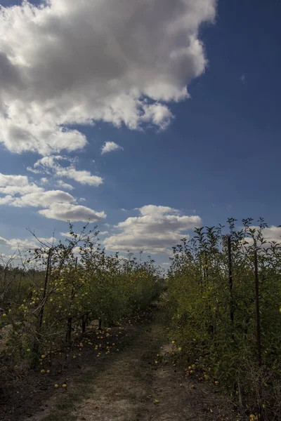 Ohio 'nun kırsal kesimlerindeki sahneler