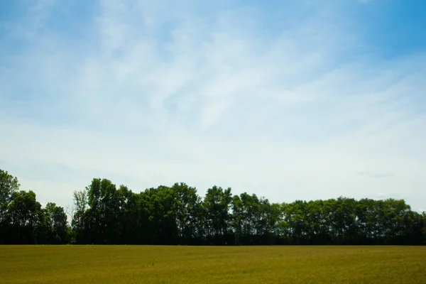 Scenes Rural Parts Ohio — Stock Photo, Image